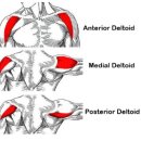 유에스타운 휘트니스 도안9호점 이미지