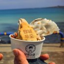 아재네 | 우도 땅콩아이스크림 맛집 추천 | 한라봉 아이스크림도 맛있는 우도 달콤아재 찐 후기