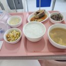 나의 기록 / 갑상선암 / 성대신경마비 / 입원부터 첫외래까지 /좋은강안병원