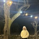 휴퐁낭스테이 이미지