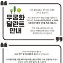 용인대 새빛 태권도장 이미지