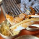 태동장어 이미지