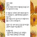 2025년 4월 사천5901캠핑장, 바다7, 이도공감600쉘터, 1박캠핑.