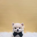 구름바람 이미지