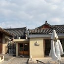 경주공업고등학교 | [경주] 황리단길 한옥 카페 올리브 방문후기｜수플레 맛집 감성카페