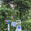 목동서로6길 | [제주도 여행] 제주독채펜션 조천읍숙소 추천(+ 복층형 샬레), 대흘샬레