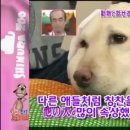 하이디 - 경산시 원효로32길 11 | 하이디