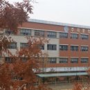 용인대 예당 태권도장 이미지