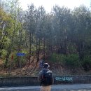 레드페이스안산
