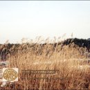 오리골농장 이미지