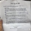 문치과병원 | 강아지 스케일링 비비동물병원 반려견 건강검진 내돈내산 후기