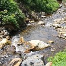 새순펜션 이미지