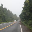 서귀포자연휴양림3 이미지