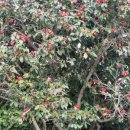 동아행정사 사무소 이미지