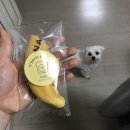 똥강아지 수제간식 이미지