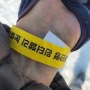애견왕국 | 겨울왕국 애견동반 가능 대관령 눈썰매장 윈터밸리