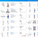 폴라리스필라테스 운정해오름점 이미지