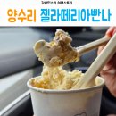 젤라떼리아빤나