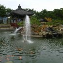 한국가사문학관 Daum카페