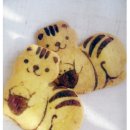 다람쥐몰 이미지