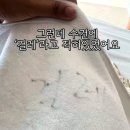 중로1-125 | 수원 경매16계 2024 타경 89179 [아파트]