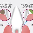 신진덴탈 이미지