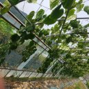 구름농장 이미지