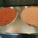 강경젓갈시장 이미지