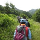 마을회관 맞은편 다리건너 이미지