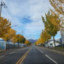 온정초등학교/병설유치원 이미지