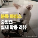 (주)케이에스비파트너스 | 분독 하네스 후기, 강아지 하네스 추천 실제 중형견 착용 리뷰