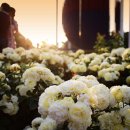 장미공원자전거대여소 이미지