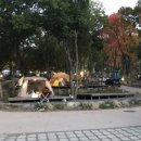 비슬산휴양림캠핑장 이미지