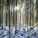 JN 행정사 사무소 이미지