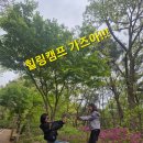 점핑스타힐링