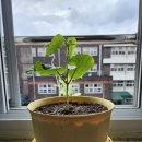 아주중학교 이미지