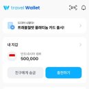 제기로 | 해외ATM기에서 돈 안나올 때 / 트래블월렛 이의제기로 보상 받은 후기