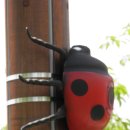 자연학습공원 이미지