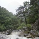 왕피천하늘담 이미지