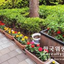 노들유치원 이미지