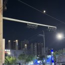 세븐일레븐 포항양덕천마점 | 포항 양덕동 막창 맛집/봉자막창 포항 양덕점 후기