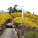 개나리공원4 이미지