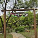 도심 속 자연 체험! 고양시 정발산 유아숲체험원 방문