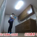버그119