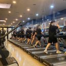 고릴라멀티짐-골프 이미지