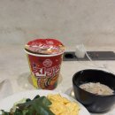 07.05. 런던스타일 꽃꽂이 | 2026년 3월 로테르담+헤이그 방문 🌷