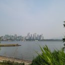 현대아파트 앞 이미지