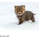 스시만드는주방 - 강서구 명지국제5로 29 | 스시만드는주방