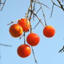 미래안경 이미지