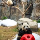 미어켓파크 이미지